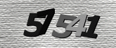 Captcha resmi