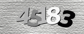 Captcha resmi