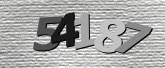 Captcha resmi