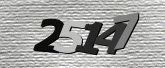 Captcha resmi