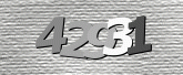 Captcha resmi