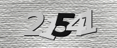 Captcha resmi