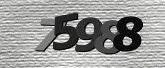 Captcha resmi