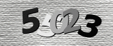 Captcha resmi
