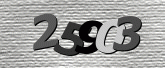 Captcha resmi