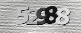 Captcha resmi