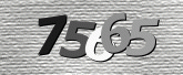 Captcha resmi