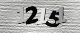 Captcha resmi