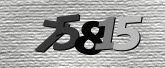 Captcha resmi
